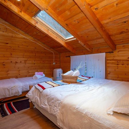 Bee Eco Guest House Moll' e Shoshit Eksteriør bilde