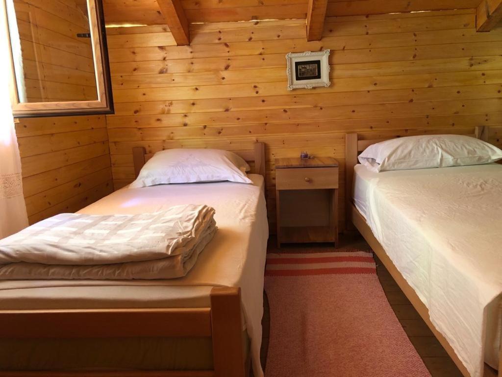 Bee Eco Guest House Moll' e Shoshit Eksteriør bilde