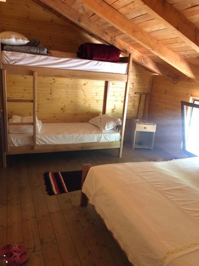 Bee Eco Guest House Moll' e Shoshit Eksteriør bilde