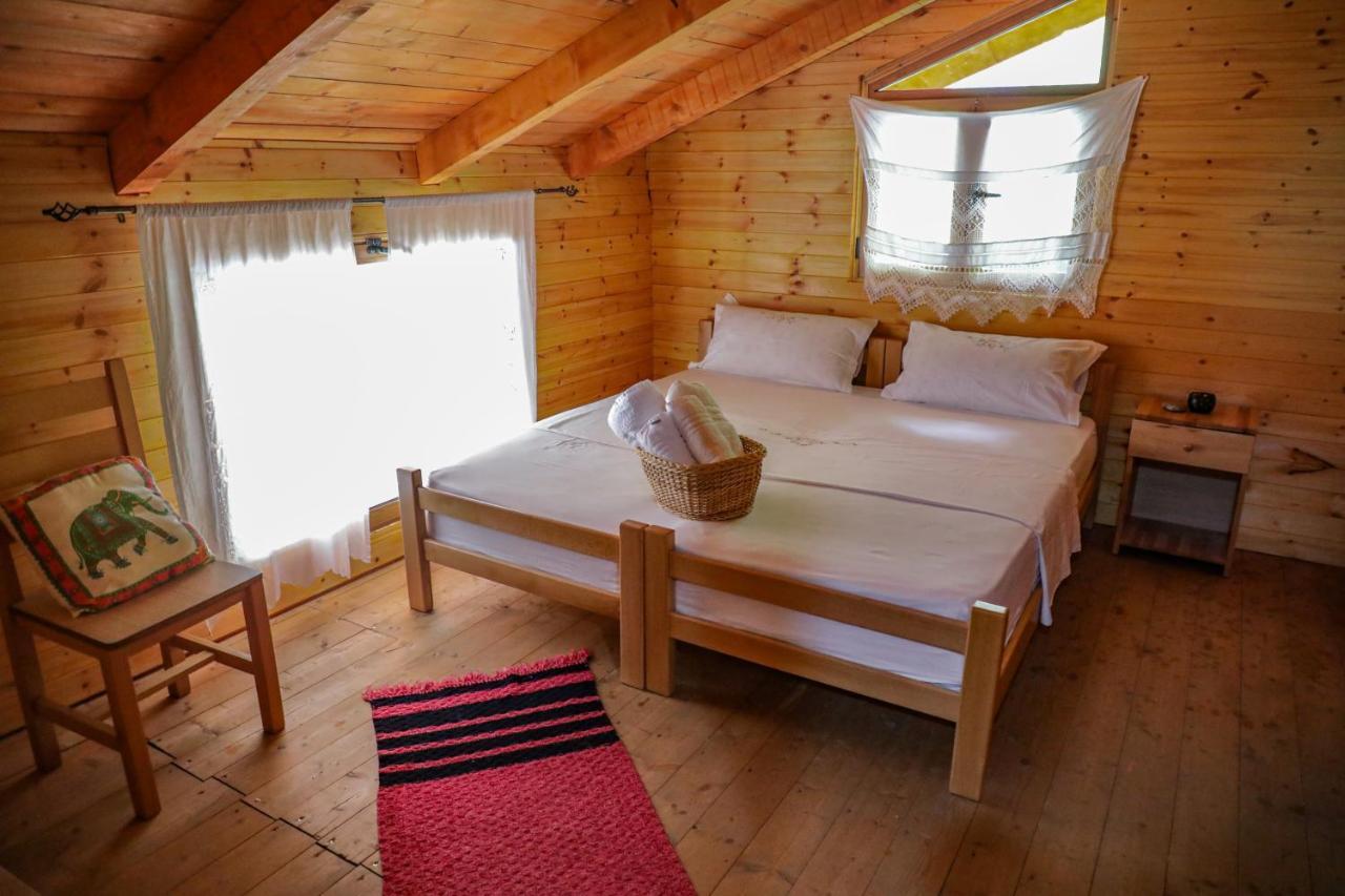 Bee Eco Guest House Moll' e Shoshit Eksteriør bilde