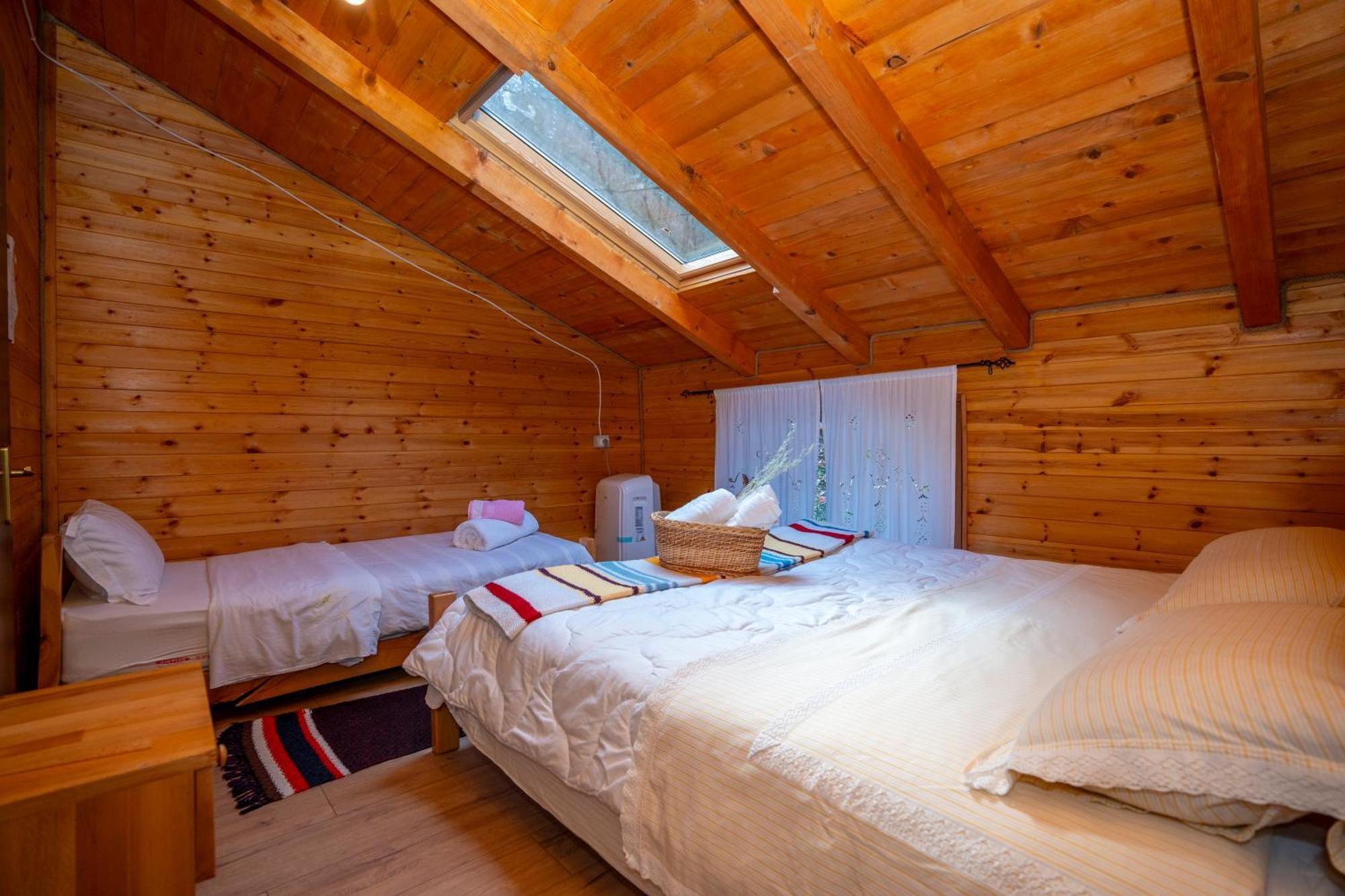 Bee Eco Guest House Moll' e Shoshit Eksteriør bilde