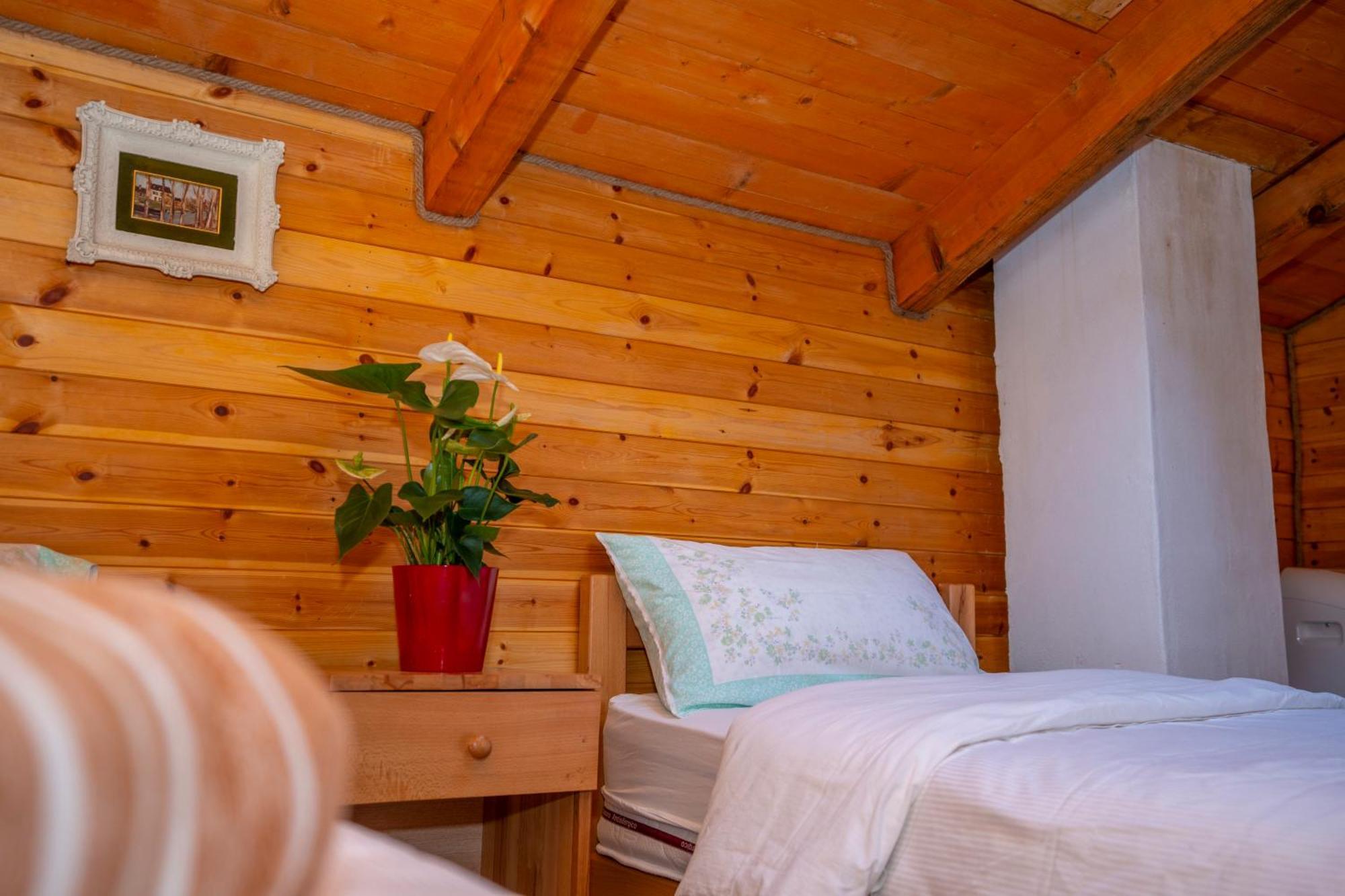 Bee Eco Guest House Moll' e Shoshit Eksteriør bilde