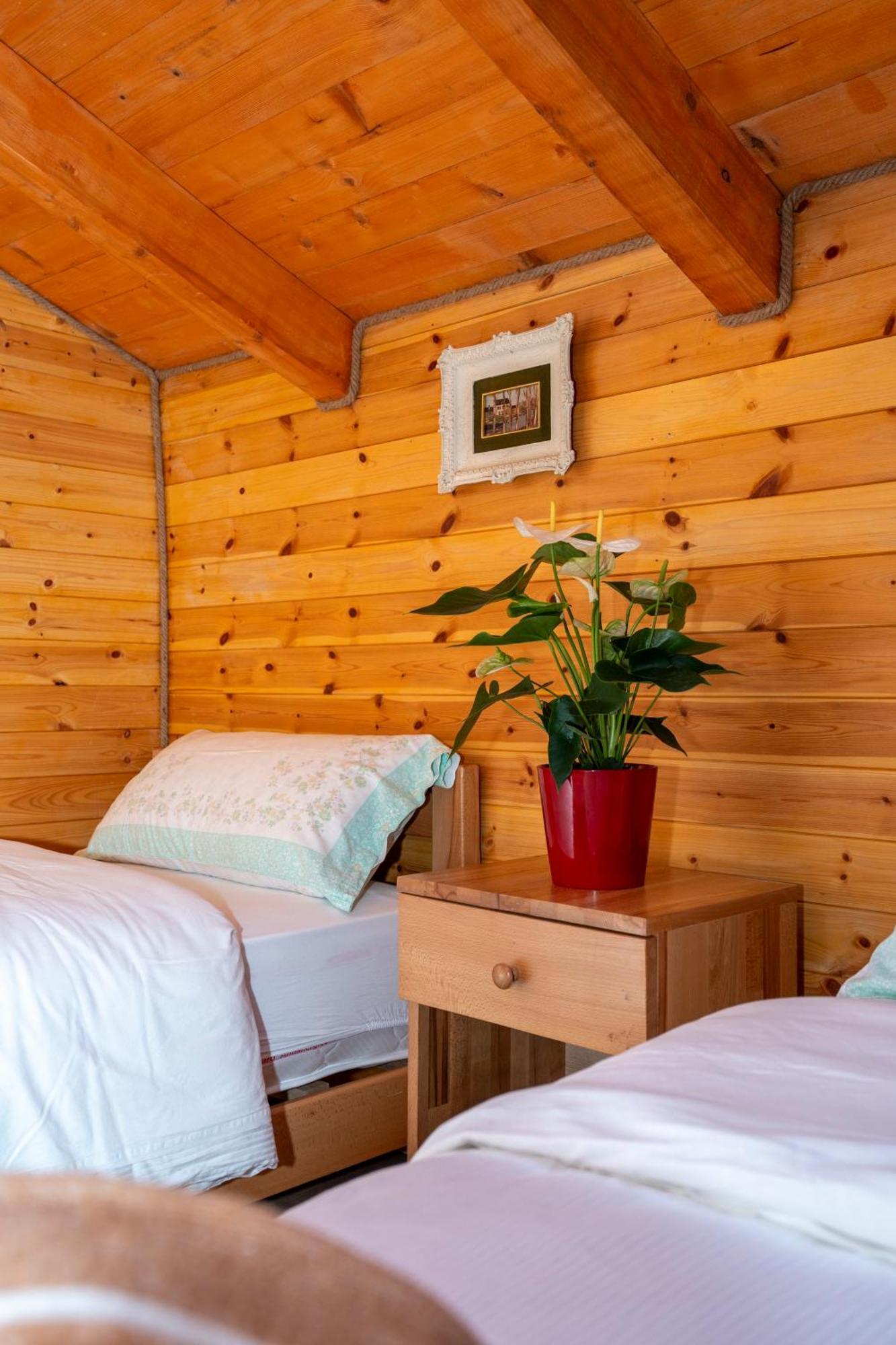 Bee Eco Guest House Moll' e Shoshit Eksteriør bilde