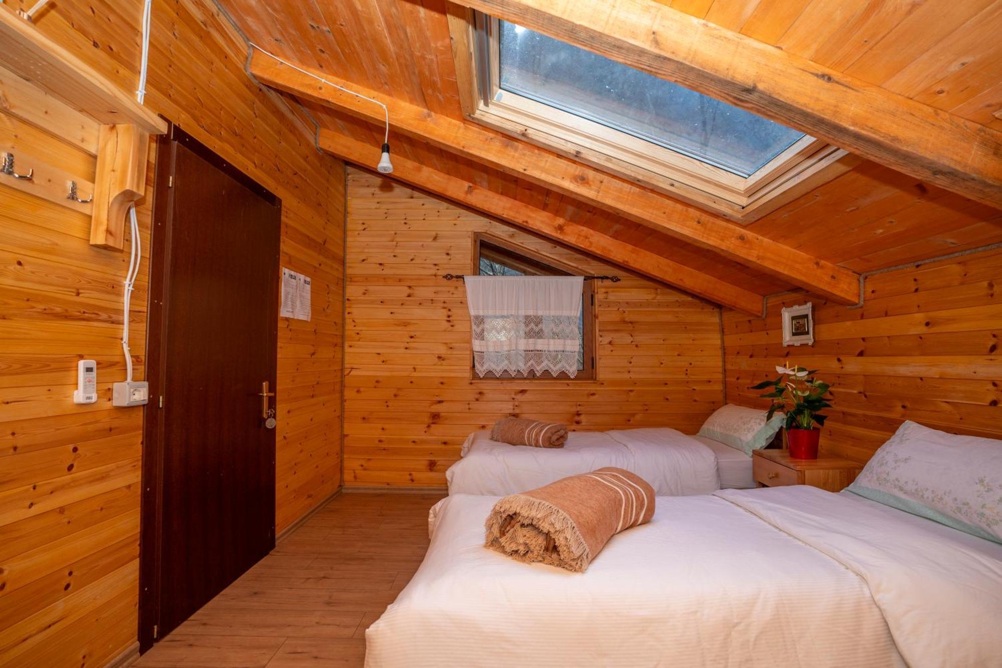 Bee Eco Guest House Moll' e Shoshit Eksteriør bilde