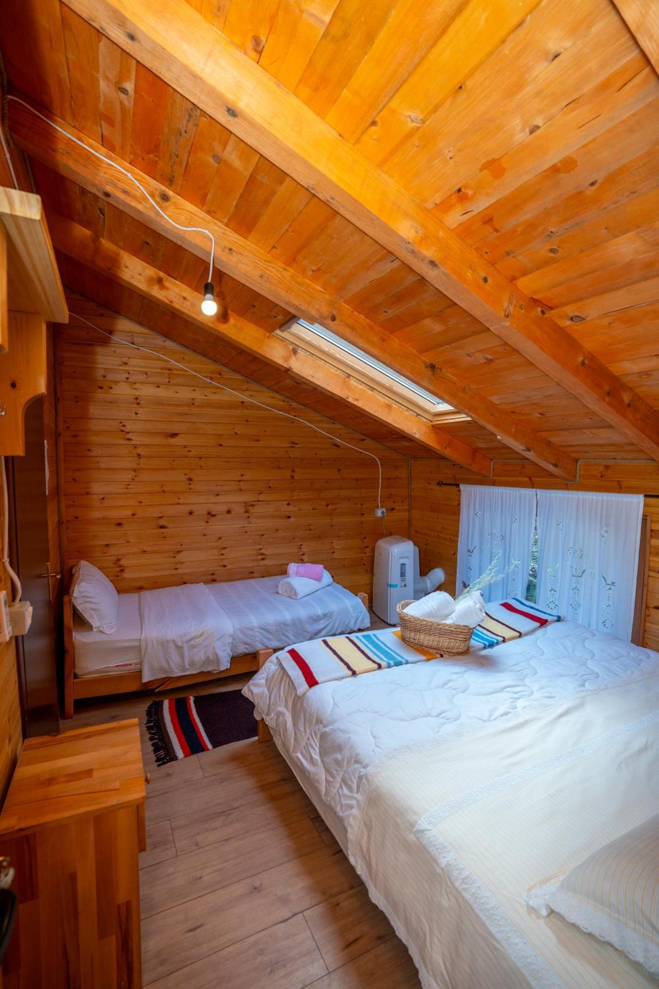 Bee Eco Guest House Moll' e Shoshit Eksteriør bilde