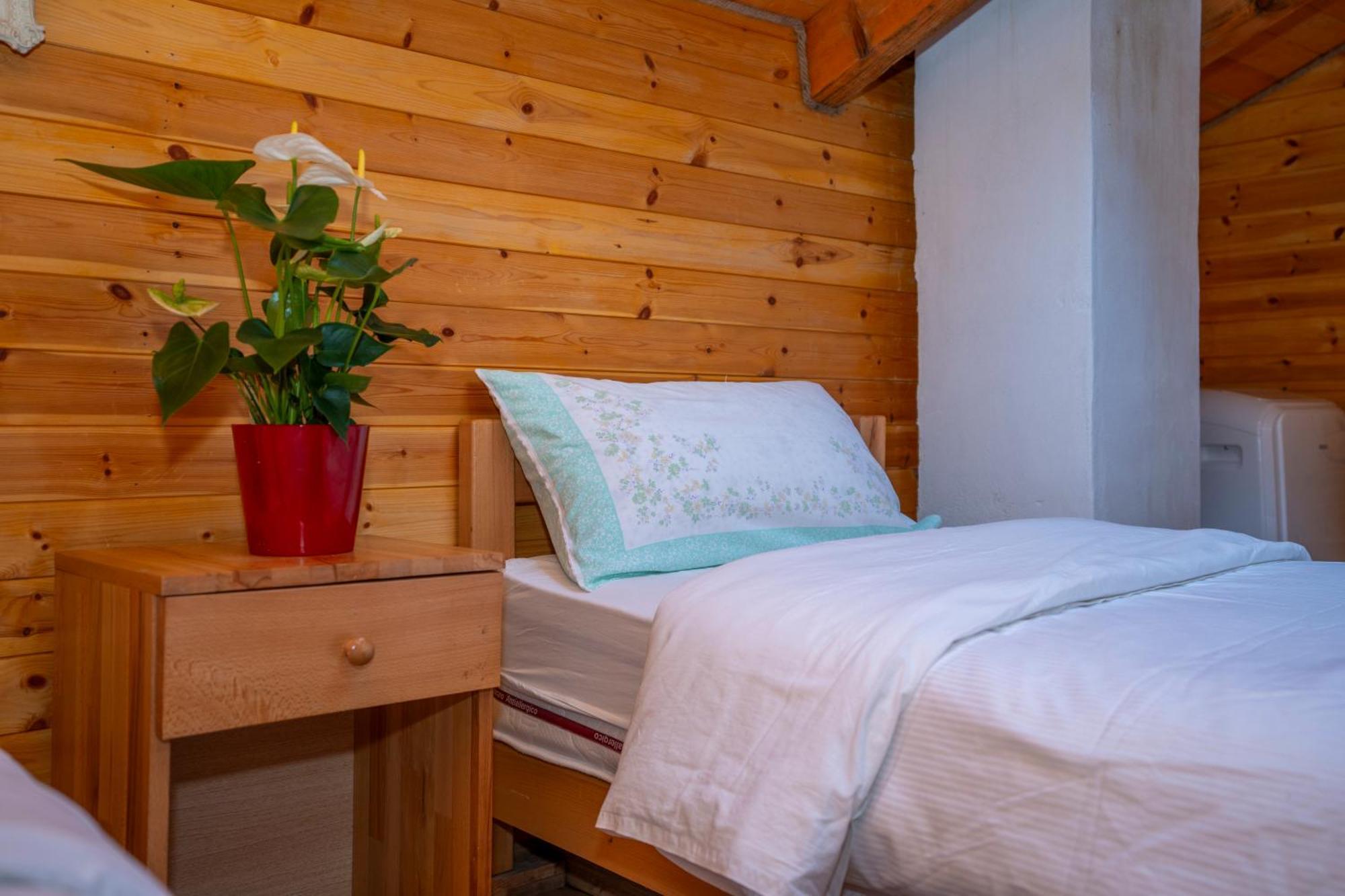 Bee Eco Guest House Moll' e Shoshit Eksteriør bilde