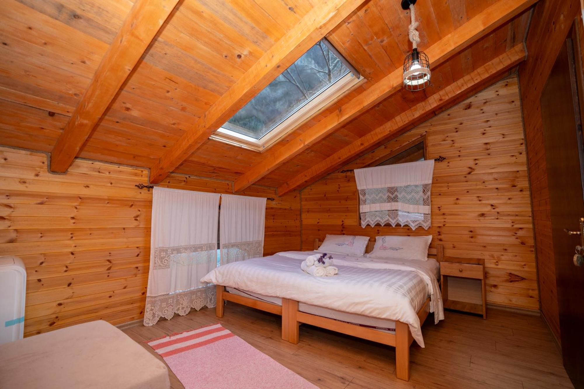 Bee Eco Guest House Moll' e Shoshit Eksteriør bilde